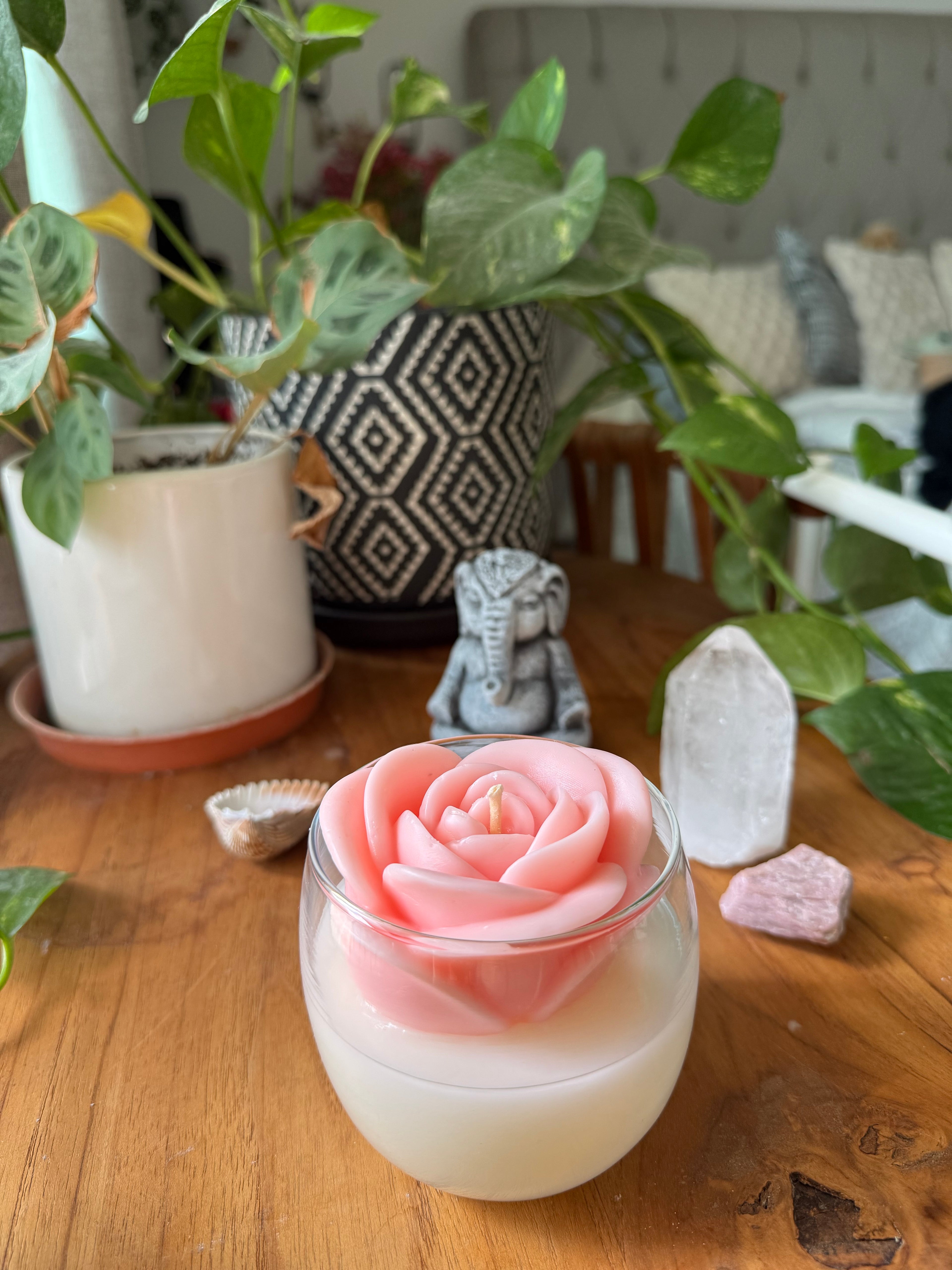 Rosa de Amor Propio 🩷