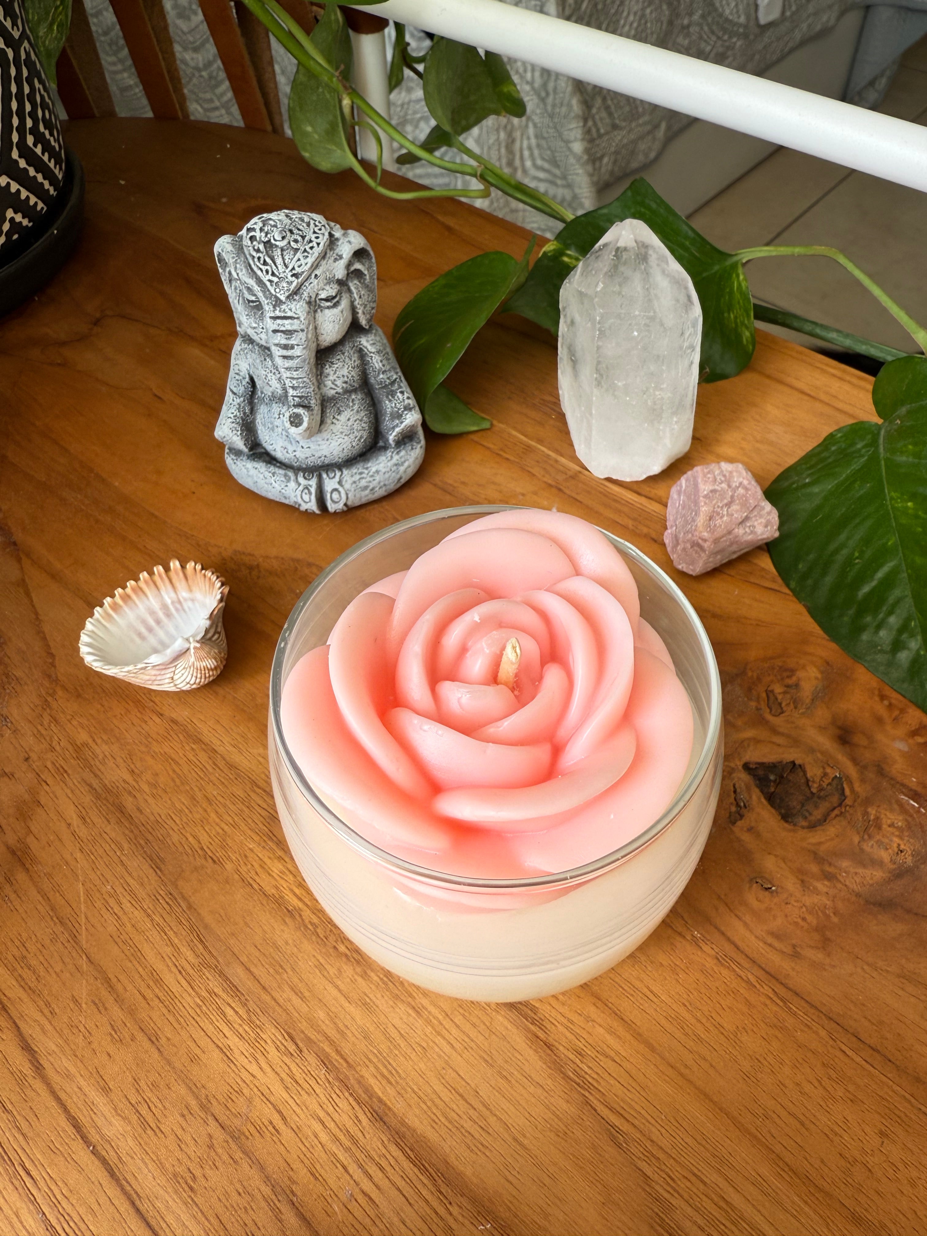 Rosa de Amor Propio 🩷